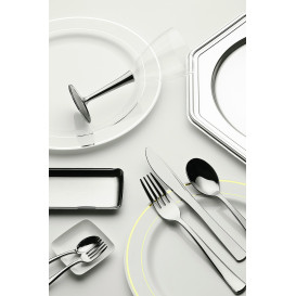 Plato Plastico Extra Rigido con Ribete Plata 19cm (20 Uds)