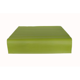 Mantel de Papel Cortado 1x1 Metro Pistacho 40g (400 Uds)