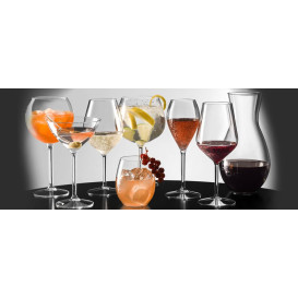 Copa de Plastico para Vino PC Transp. Perlado 240ml (1 Ud)