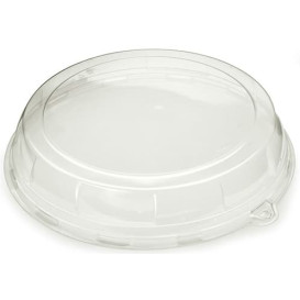 Tapa de Plastico para Bandeja de 34x8 cm (5 Uds)