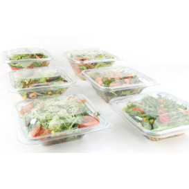 Bol de Plástico PET Impression 750ml 170x170x50mm (50 Uds)