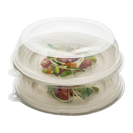 Tapa de Plastico Transparente para Plato 23x5cm (21 Uds)
