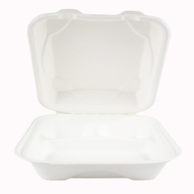 Envase Bisagra Caña de Azúcar 3C 23x23x7,5cm (50 Uds)