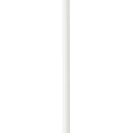 Pajita Recta de Papel Blanco Ø6mm 14,5cm (500 Uds)