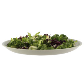Plato Reutilizable Premium PP Mineral Gris Ø27,5cm (6 Uds)