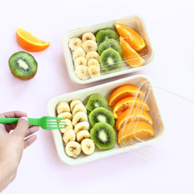 Tapa RPET Transparente Envase 710 y 940ml (50 Uds)