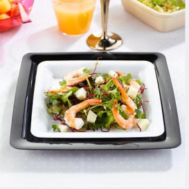 Plato Plastico Cuadrado Extra Rigido Blanco 18 x 18 cm (20 Uds)