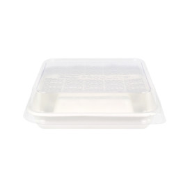 Tapa PLA para Envase Caña de Azúcar 18,5x18,5cm (50 Uds)