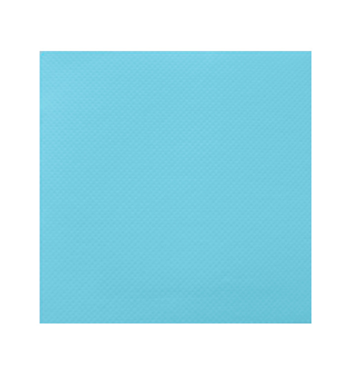 Servilleta Papel Turquesa 2C Punta-Punta 33x33cm (50 Uds) Servilleta Papel Turquesa 2C Punta-Punta 33x33cm (50 Uds)