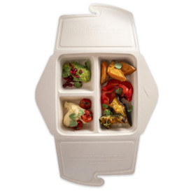 Envase MenuBox Caña de Azúcar 3C 21x21x4cm 900ml (50 Uds)