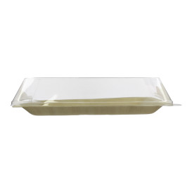 Tapa de Plástico PET 27x20cm (10 Uds)