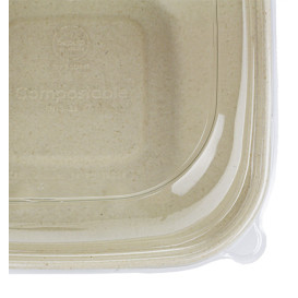 Envase Caña Azúcar con tapa 750ml 190x190x80mm (15 Uds)