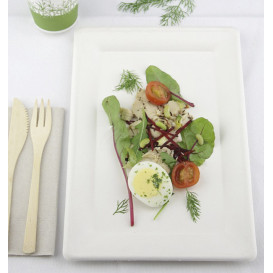 Bandeja Caña de Azúcar Blanco 200x280mm (320 Uds)