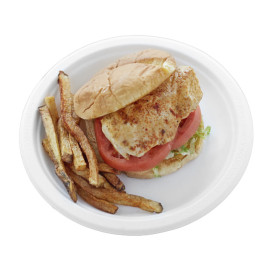 Plato Caña de Azúcar Bagazo Blanco Ø23 cm (500 Uds)