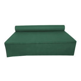 Mantel Rollo Novotex Verde 1,2x50m 50g P40cm (1 Ud)