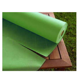 Mantel Rollo Novotex Pistacho 1,2x50m 50g P40cm (1 Ud)