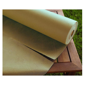 Mantel Rollo Novotex Crema 1,2x50m 55g P40cm (1 Ud)