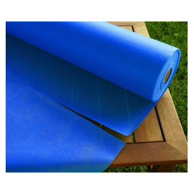 Mantel Rollo Novotex Azul Royal 1,2x50m 50g P40cm (1 Ud)
