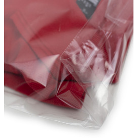 Bolsas Polipropileno CPP Solapa Adhesiva 35x45cm G160 (100 Uds)