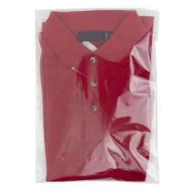 Bolsas Polipropileno CPP Solapa Adhesiva 25x35cm G160 (100 Uds)