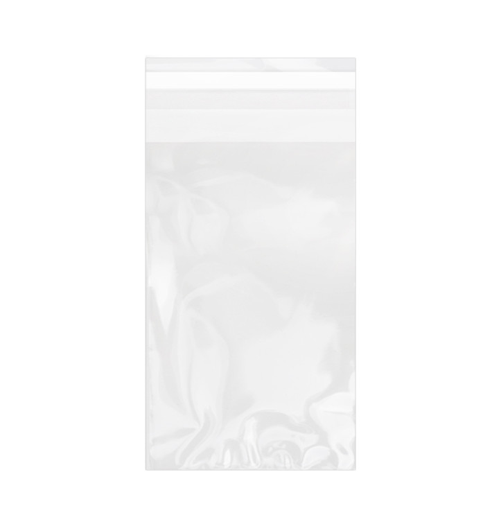 Bolsas de Plástico Biorientado con Solapa Adhesiva 10x15 cm G-160 (100 Uds) Bolsas de Plástico Biorientado con Solapa Adhesiva 10x15 cm G-160 (100 Uds)