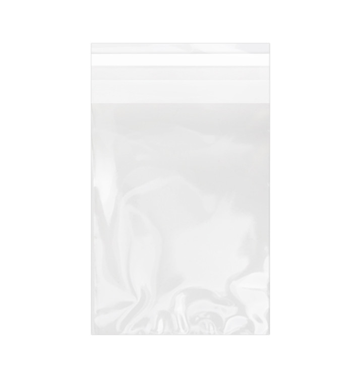Bolsas de Plástico Biorientado con Solapa Adhesiva 11x16 cm G-160 (100 Uds) Bolsas de Plástico Biorientado con Solapa Adhesiva 11x16 cm G-160 (100 Uds)