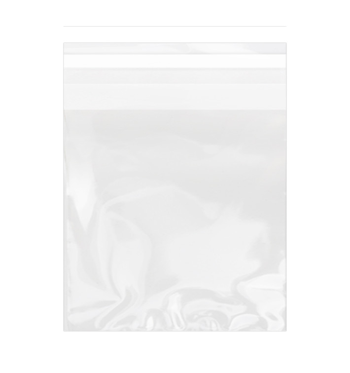 Bolsas de Plástico Biorientado con Solapa Adhesiva 14x14 cm G-160 (100 Uds) Bolsas de Plástico Biorientado con Solapa Adhesiva 14x14 cm G-160 (100 Uds)