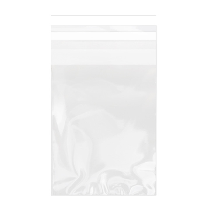 Bolsas de Plástico Biorientado con Solapa Adhesiva 15x22 cm G-160 (100 Uds) Bolsas de Plástico Biorientado con Solapa Adhesiva 15x22 cm G-160 (100 Uds)