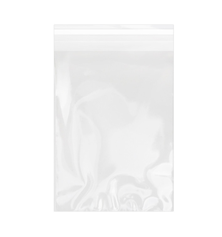 Bolsas de Plástico Biorientado con Solapa Adhesiva 18x25 cm G-160 (100 Uds) Bolsas de Plástico Biorientado con Solapa Adhesiva 18x25 cm G-160 (100 Uds)