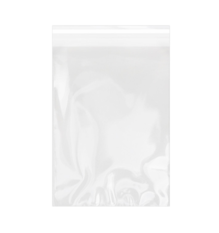 Bolsas de Plástico Biorientado con Solapa Adhesiva 25x35 cm G-160 (100 Uds) Bolsas de Plástico Biorientado con Solapa Adhesiva 25x35 cm G-160 (100 Uds)