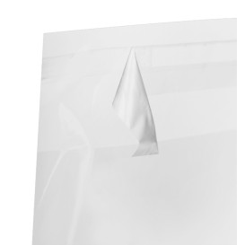 Bolsas de Plástico Biorientado con Solapa Adhesiva 18x25 cm G-160 (100 Uds)