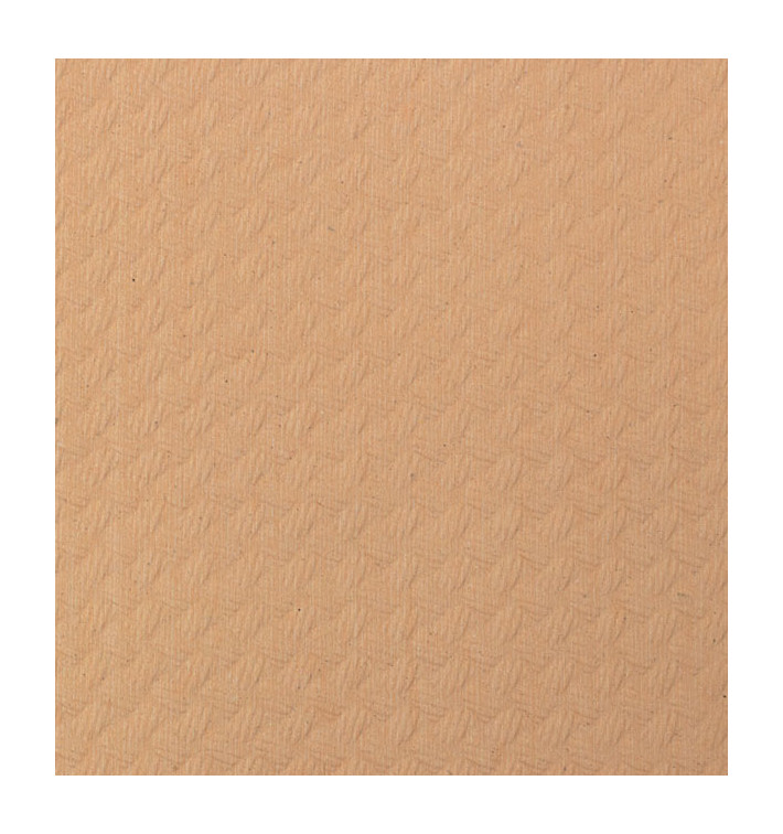 Mantel de Papel Rollo Salmón 1x100m 40g (1 Ud) Mantel de Papel Rollo Salmón 1x100m 40g (1 Ud)