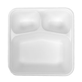 Envase de Caña de Azúcar 3C 23x23x5,5cm (50 Uds)