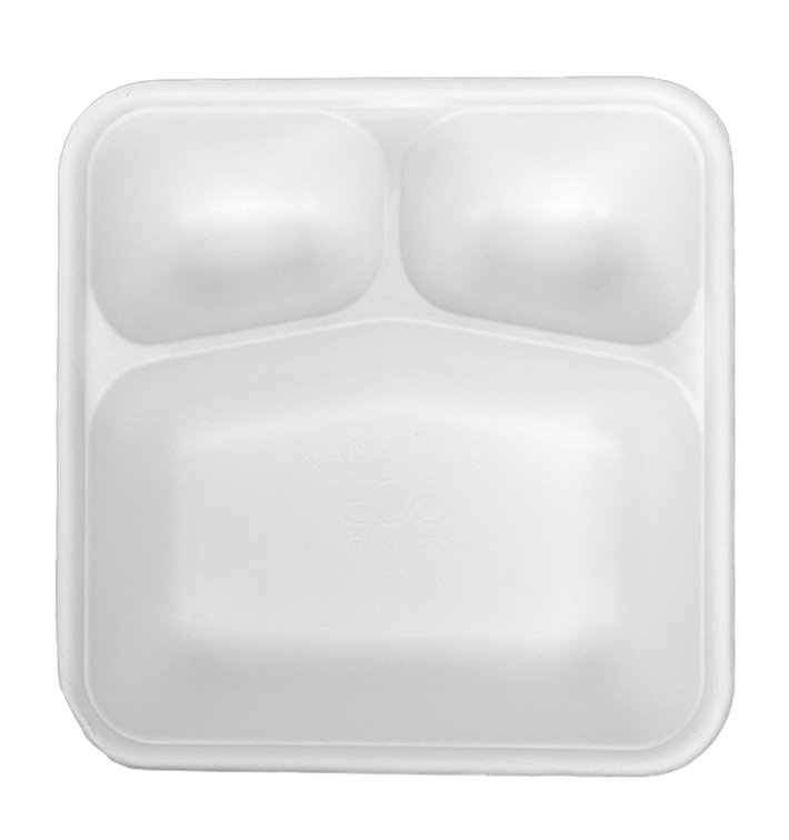 Envase de caña de azúcar