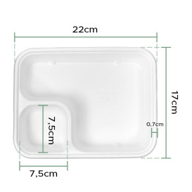 Bandeja de Caña de Azúcar para Nachos 2C 16,5x21x5x3,5cm (400 Uds)