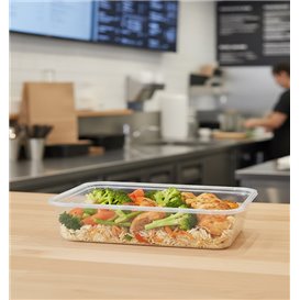 Tarrina Plástico Rectangular PP Transparente 500ml 17,4x11,6x3,5cm (25 Uds)