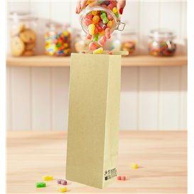 Bolsa SOS Kraft con Cierre 9+6x26cm (50 Uds)