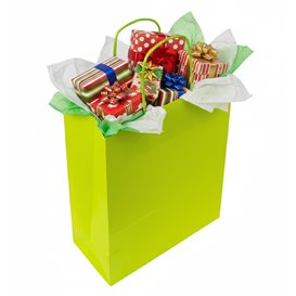 Bolsa Papel Verde con Asas 90g/m² 22+10x27cm (25 Uds)